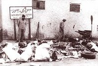 Chlef :  Gestion provisoire  des déchets ménagers