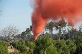 Feux de forêts : Appel à la vigilance pour éviter la catastrophe de 2012