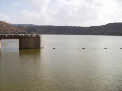 Des taux de remplissage des barrages appréciables Tlemcen : les autres articles