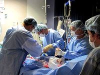 Création de l'Agence nationale de greffe d'organes (ministre)