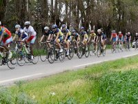 Cyclisme/Championnats d'Algérie : Hichem Chaâbane (Vélo Club Sovac) vainqueur