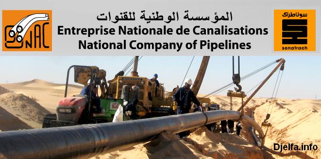 تقرير مركزيّ أسود عن 