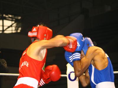 La région Centre relève le pari Finales du championnat d'Algérie de boxe (seniors)