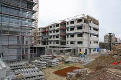 مشاتي القعقاع، الطباقة، بئر الشهداء يطالبون بمشاريع تنموية بلدية بئر مقدم تبسة / ينتظرون الكهرباء منذ فجر الإستقلال