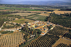 Des fruits algériens sur le marché européen Exportation de produits agricoles du terroir