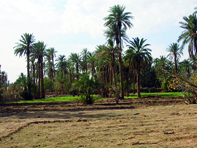 Quatre sites identifiés à l'étude EL-BAYADH, Nouvelles zones d'expansion touristique