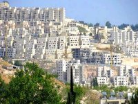 Intensification de la colonisation israélienne dans les territoires palestiniens occupés