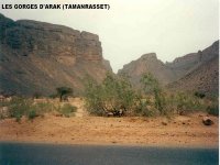 Intempéries : 262 personnes secourues par les unités de l'ANP dans la région d'Arak (Tamanrasset)