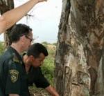 تنصيب اللجنة الولائية لمكافحة حرائق الغابات و المحاصيل الزراعية بتيارت