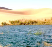 Ouargla Bain de sable à Hassi Benabadallah