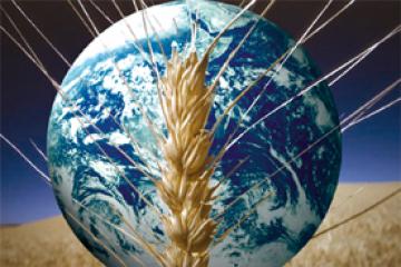 Sécurité alimentaire : L'Algérie construit un système alimentaire durable