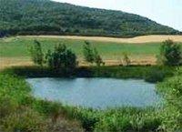 Secteur agricole à Boumerdès : Les retenues collinaires sous-exploitées