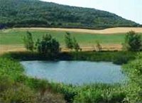 Secteur agricole à Boumerdès : Les retenues collinaires sous-exploitées