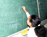 Les enseignants de  tamazight font le bilan