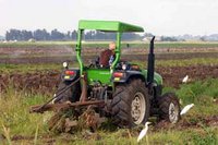 Secteur de l'agriculture dans la wilaya de Médéa :   Un champignon menace  les champs de blé