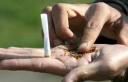 البليدة : توقيف شخصين يروجان المخدرات وحجز أكثر من 1500غ من الكيف المعالج