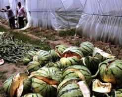 طوارئ واستنفار في مستشفيات الوادي بسبب 