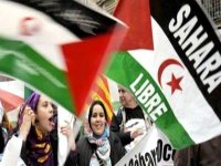 Le peuple sahraoui déterminé à poursuivre son combat pour arracher son indépendance (diplomate sahraoui)