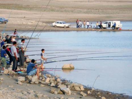 Mila : mort suspecte de poissons au barrage Grouz Actu Est : les autres articles