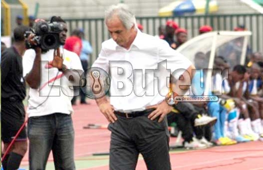 Halilhodzic : «L'Algérie, le challenge le plus dur de ma carrière»