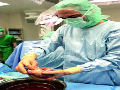 85% des personnes en faveur du don d'organes, selon un sondage à Alger 53% des sondés prêts à s'inscrire sur la liste des donneurs