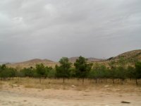 Le barrage vert, un succès et un acquis nécessitant un entretien régulier (ministre)