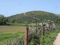 El Kala : L'autoroute continue de faire des dégâts