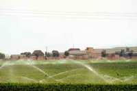 L'irrigation à Aïn Defla : Faible adhésion au réseau de l'ONID