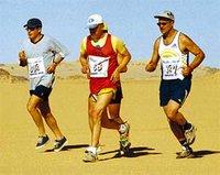 Marathon international de Tiout :  Demain le grand départ dans l'oasis