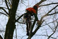 Rafraîchissement des espaces verts : La terre et les politiques mises à nu