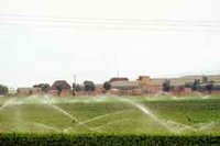 L'irrigation à Aïn Defla : Faible adhésion au réseau de l'ONID