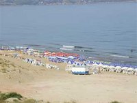 Préparatifs de la saison estivale : La gestion des plages sera concédée à des professionnels