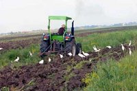 Rouina (Aïn Defla) :  Des projets  pour El Mayenne