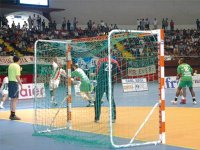 Finalisation de la mise en conformité des statuts demain Handball - Directoire