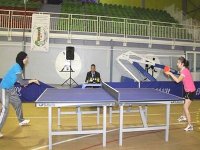 Coupe d'Algérie de tennis de table (toutes catégories) : les finales ce week-end à Tipaza