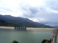 Mort mystérieuse de poissons dans les barrages de Beni Haroun et de Grouz (Mila)