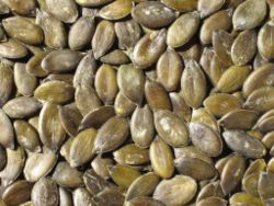 Graines de Courge Grillées