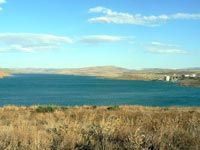 Cultures maraîchères à Mila Alerte à l'irrigation par des eaux polluées !