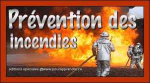 Blida - La Protection civile et les Services des forêts se concertent