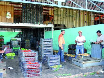 Une cinquantaine de brigades mixtes mobilisées à travers la wilaya Constantine