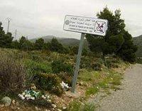 Pinède Bouyilef : Le poumon de la ville agressé