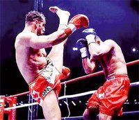 Full-kick-thai boxing :  Cinq ligues interpellent le MJS