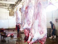 Wilaya de Bouira : Les abattoirs  clandestins à l'index