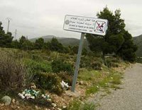 Pinède Bouyilef : Le poumon de la ville agressé