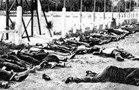 Massacres du 8 mai 1945 : Retour sur un complot à huis clos