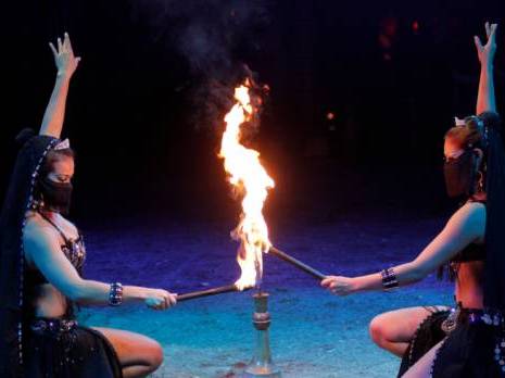 Le cirque Florilegio campe à Alger Culture : les autres articles