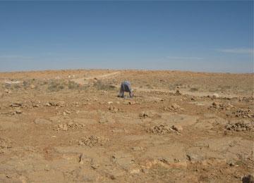 أعمال شغب بأدرار بسبب توزيع 2000 قطعة ارض إضافة الى إعانة مالية ب100 مليون سنتيم للبناء