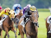 L'entrainement K. Feghouli en force Les courses à Tiaret