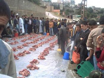 Lawziâa pour perpétuer la tradition HAIZER (BOUIRA)