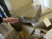 عين تموشنت/ حجز 700. 2 كلغ من الكيف بالعامرية